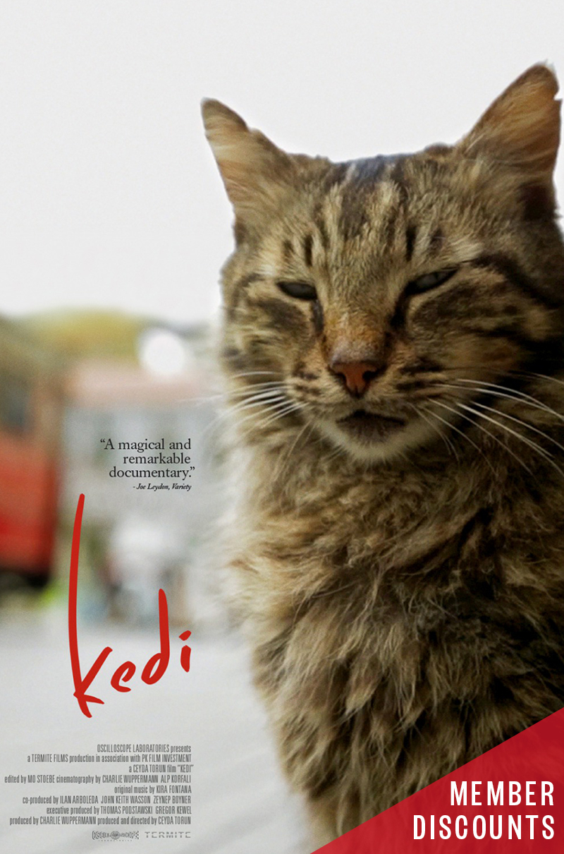 KEDI