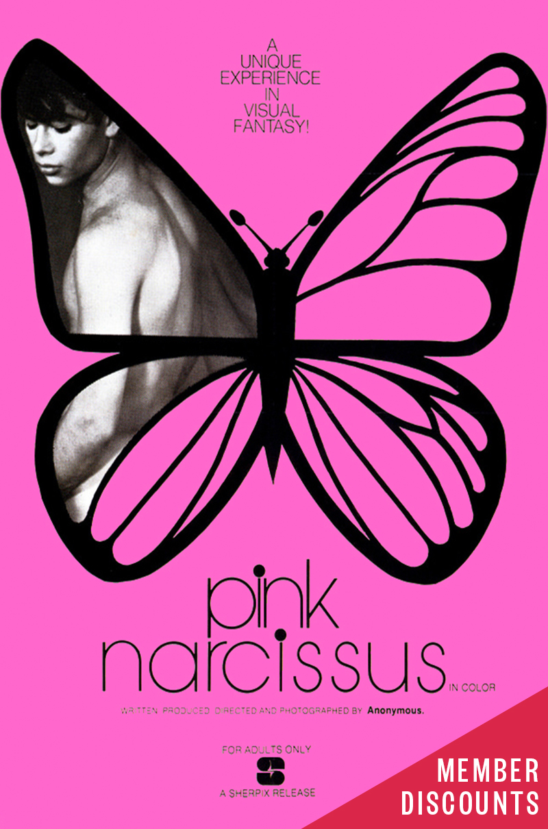 PINK NARCISSUS