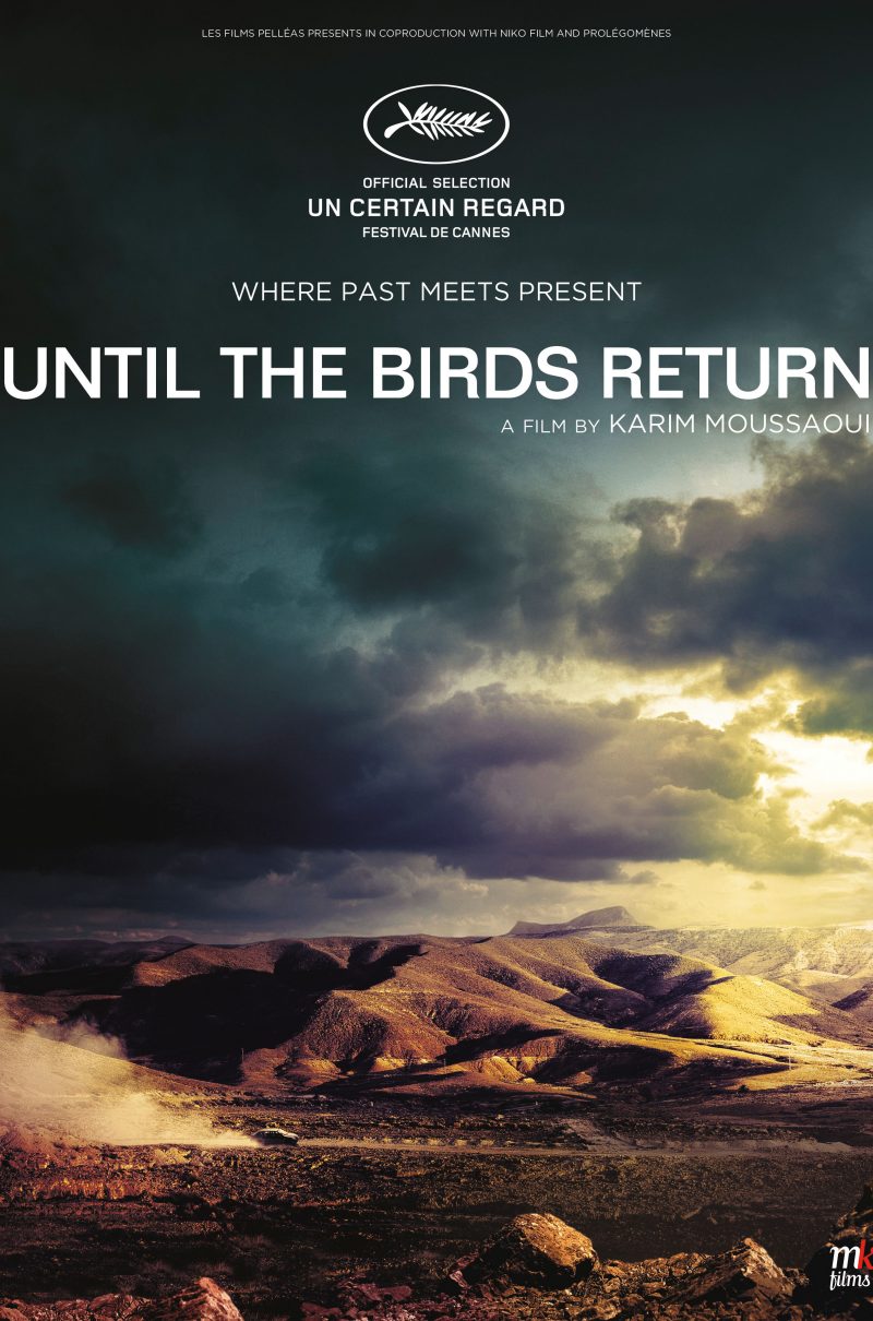 UNTIL THE BIRDS RETURN