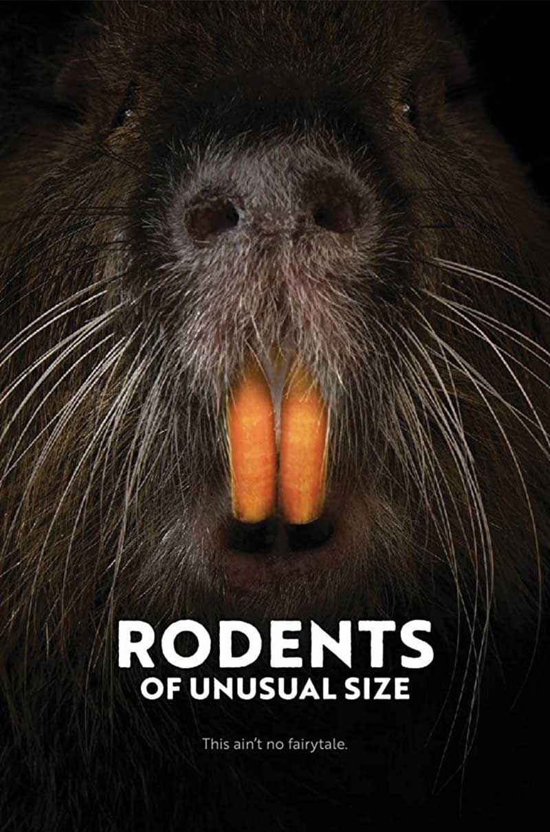 RODENTS OF UNUSUAL SIZE