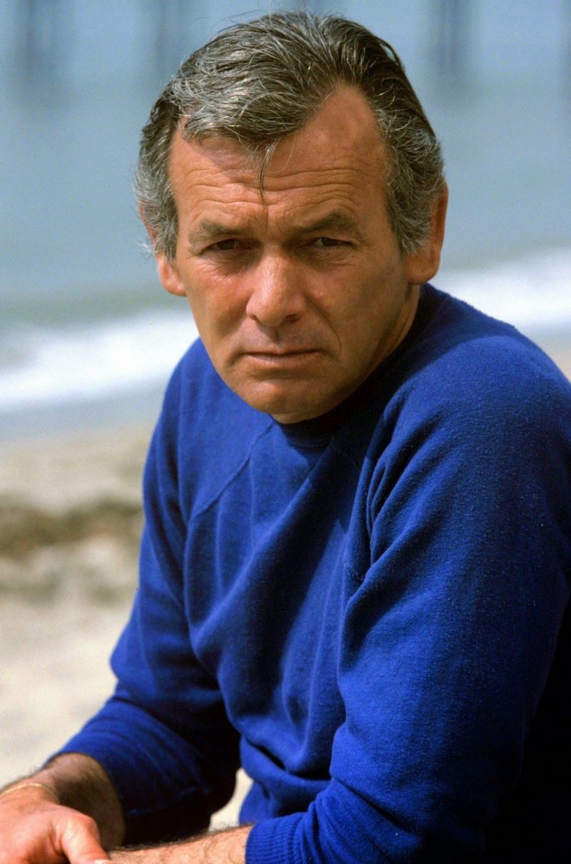 History Of Television: Prime Time Spotlight – David Janssen