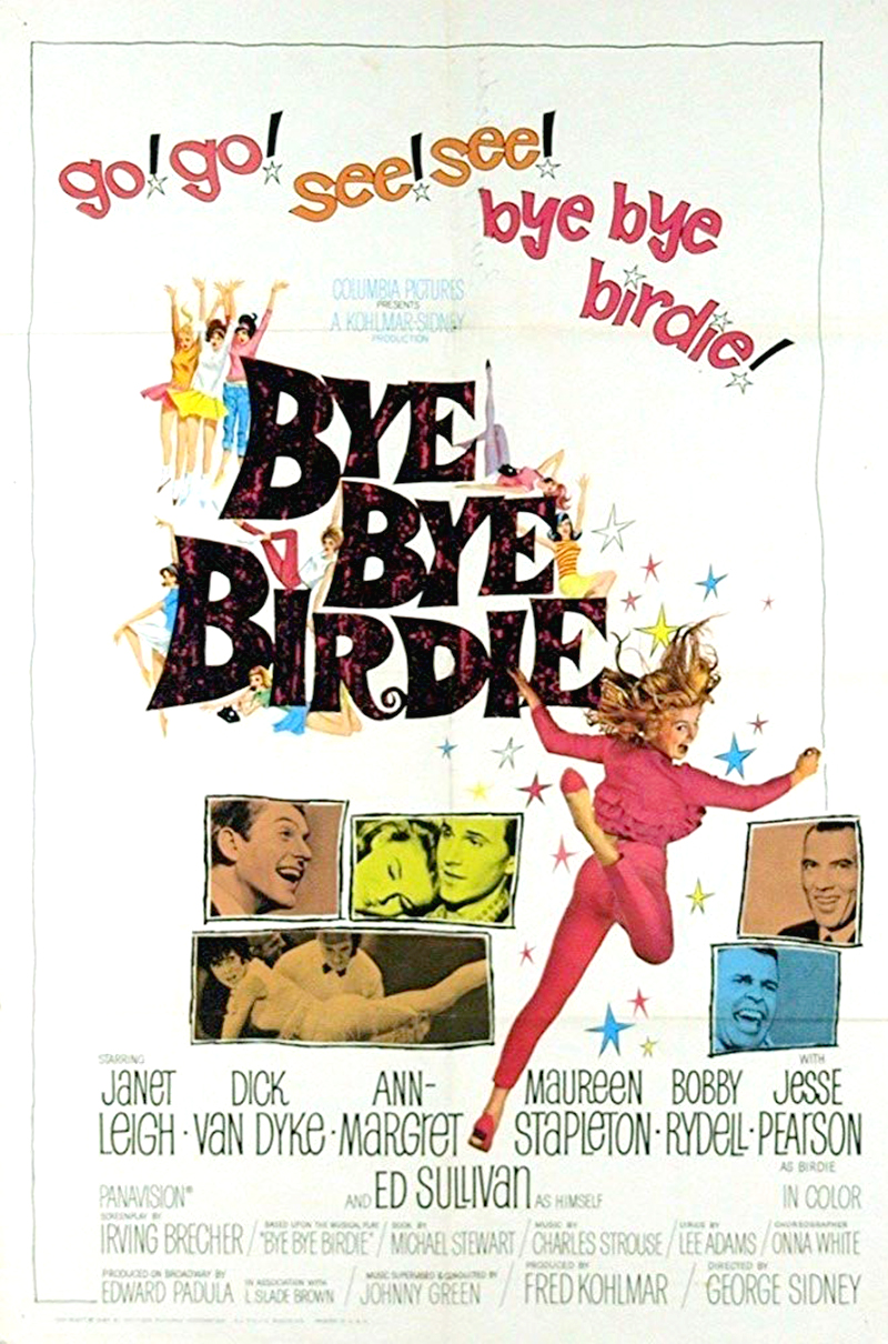 BYE BYE BIRDIE
