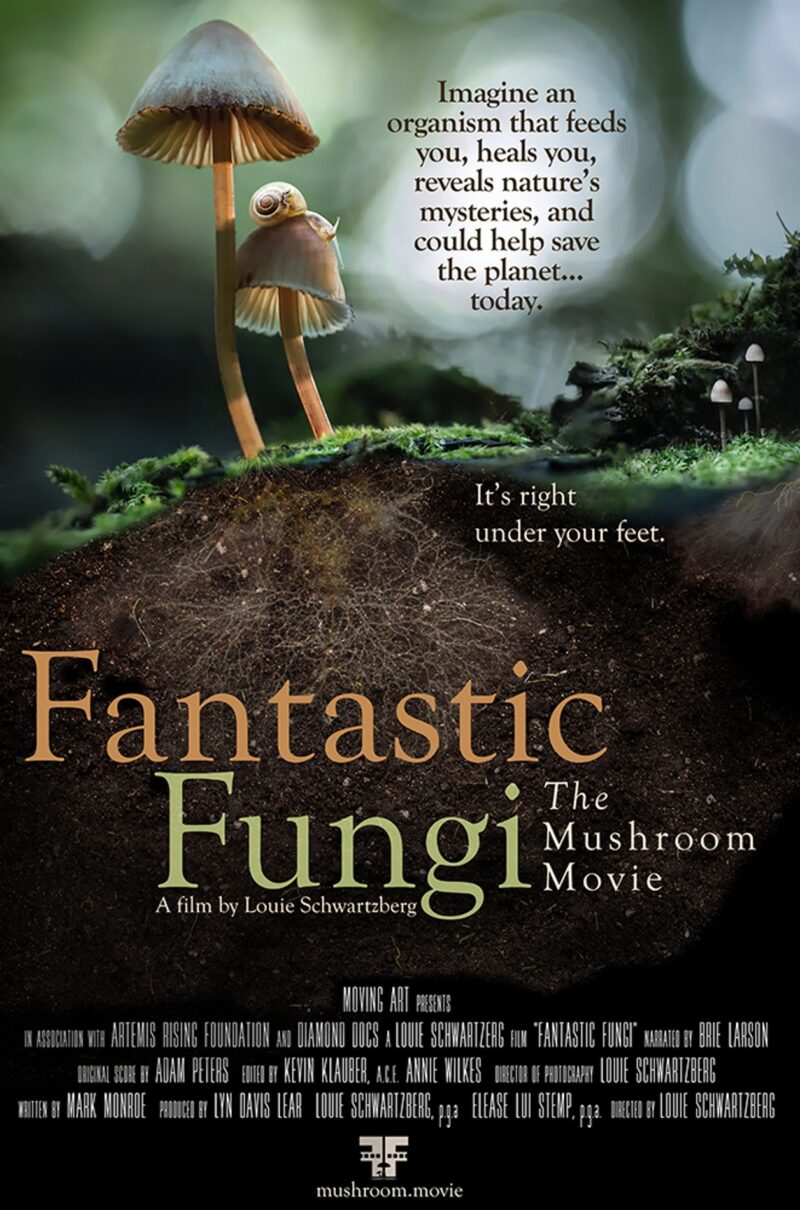 Cancelled: FANTASTIC FUNGI