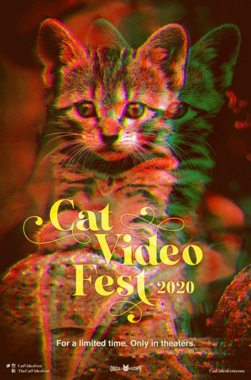 CatVideoFest 2020