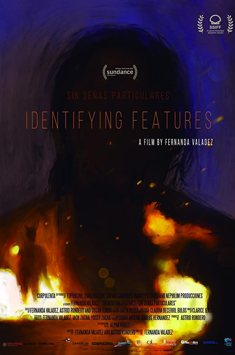 IDENTIFYING FEATURES