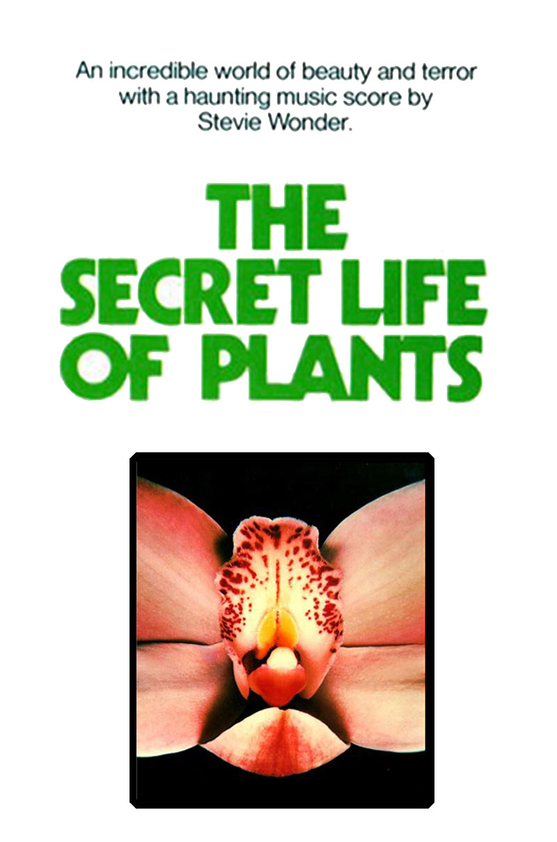 THE SECRET LIFE OF PLANTS