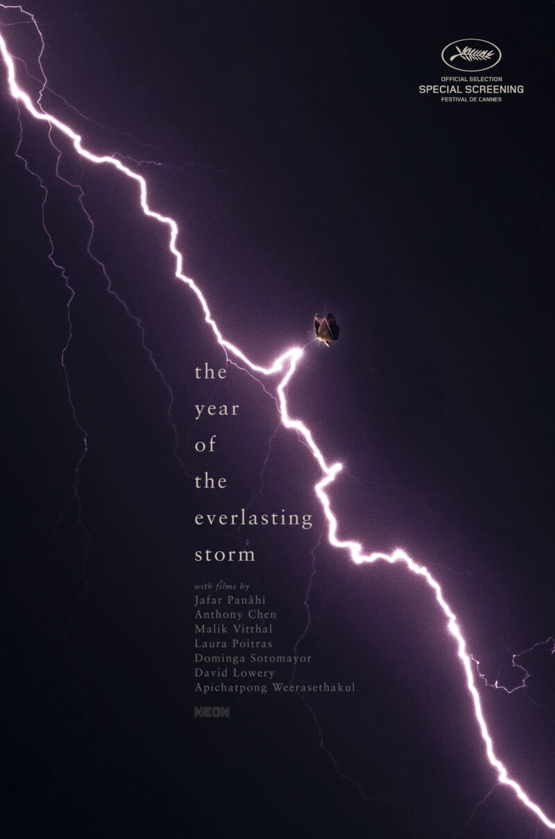 THE YEAR OF THE EVERLASTING STORM