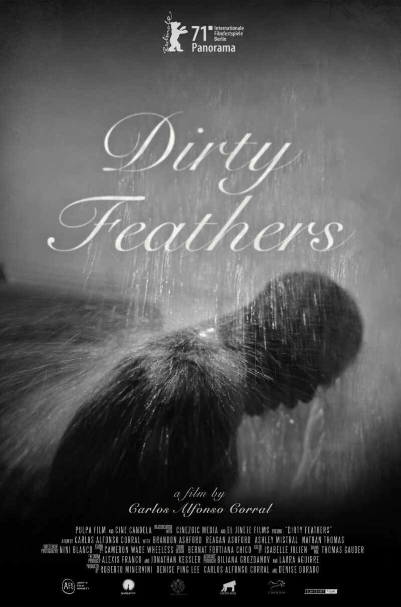 DIRTY FEATHERS