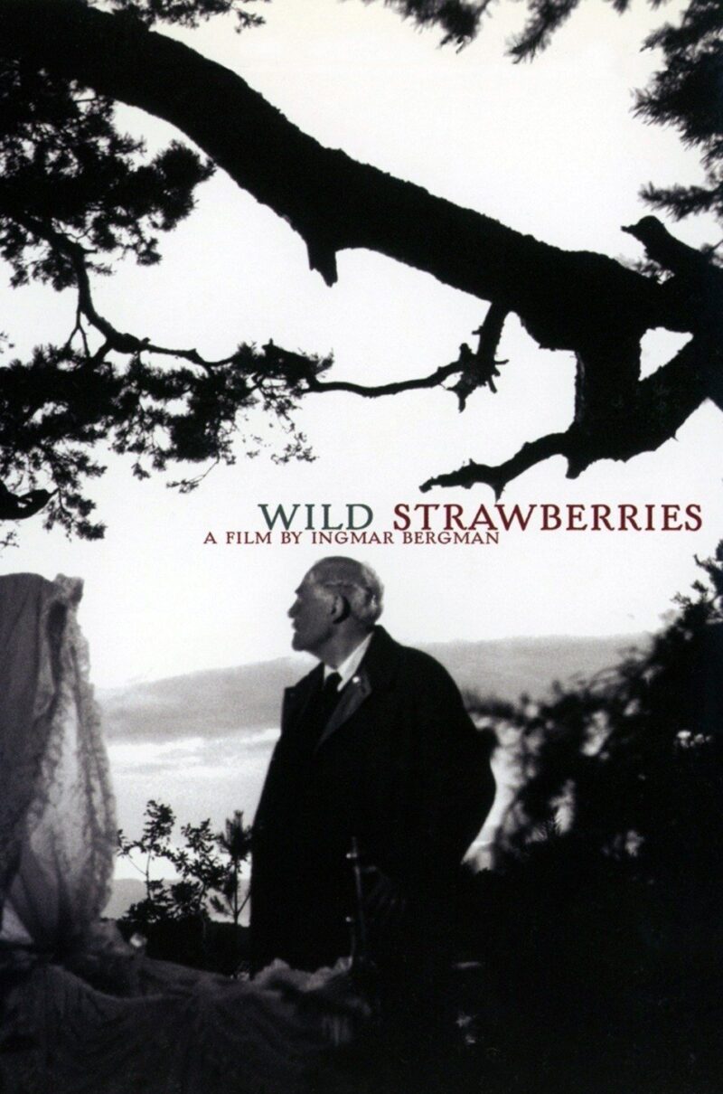 WILD STRAWBERRIES