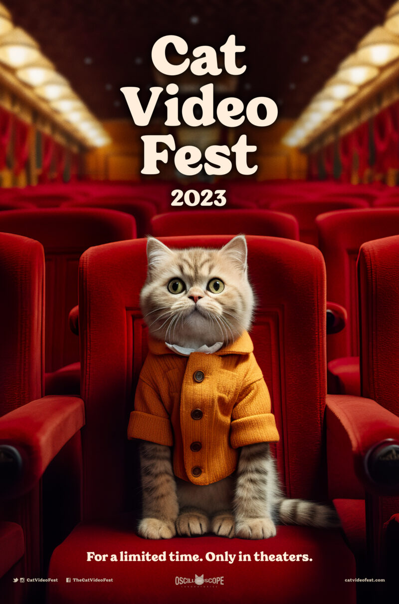 CAT VIDEO FEST