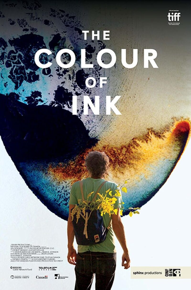 THE COLOUR OF INK