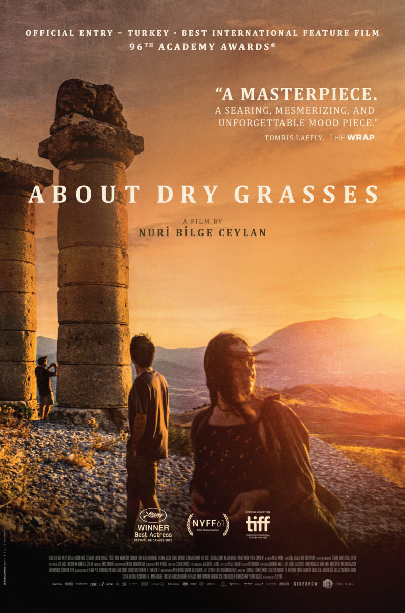 ABOUT DRY GRASSES
