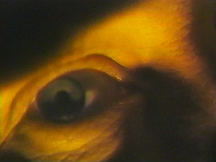 Highway_Hypnosis_1