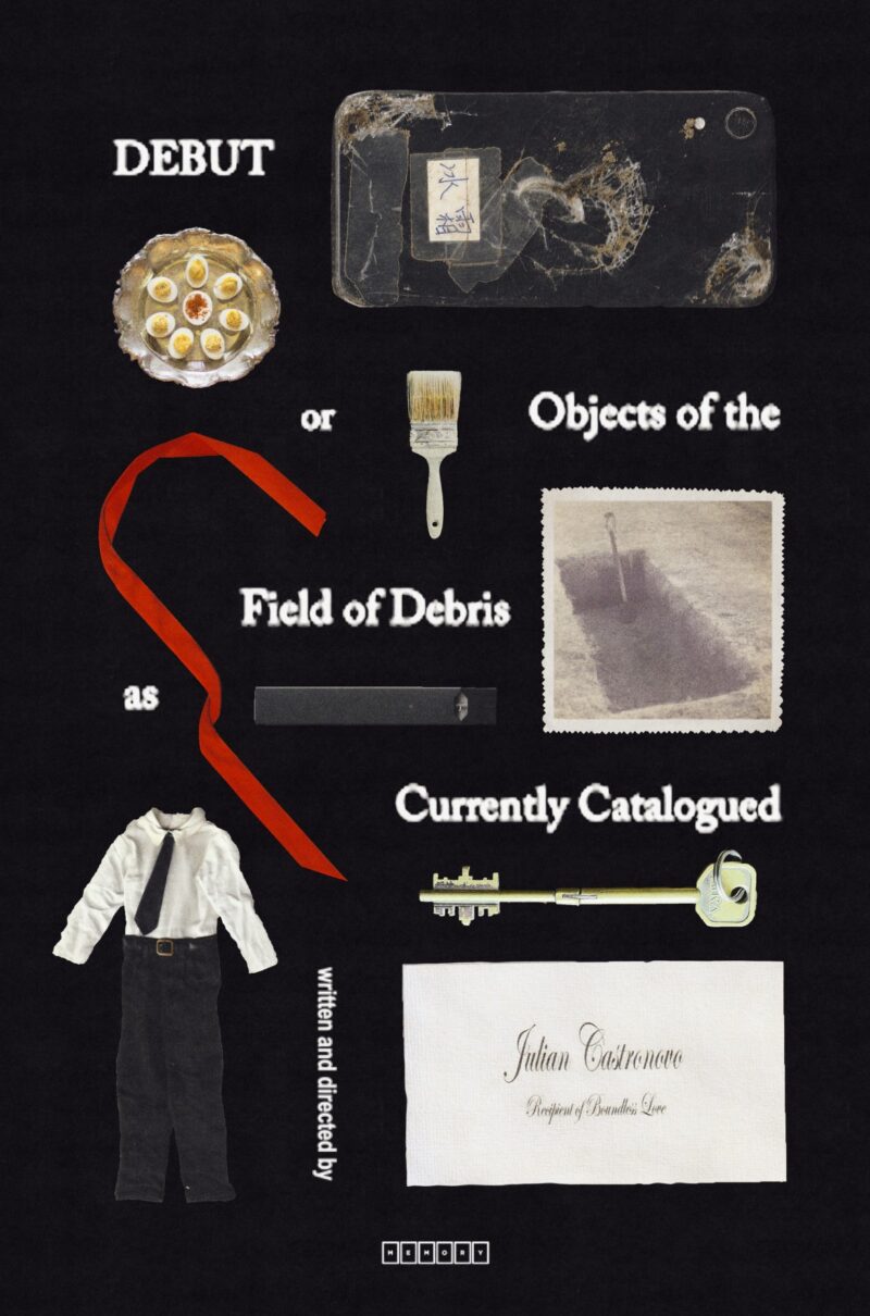 DEBUT, OR, OBJECTS OF THE FIELD OF DEBRIS AS CURRENTLY CATALOGUED