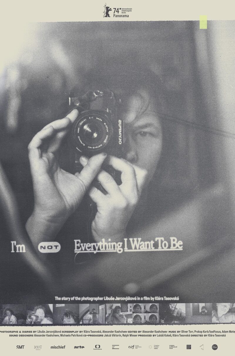 I’M NOT EVERYTHING I WANT TO BE
