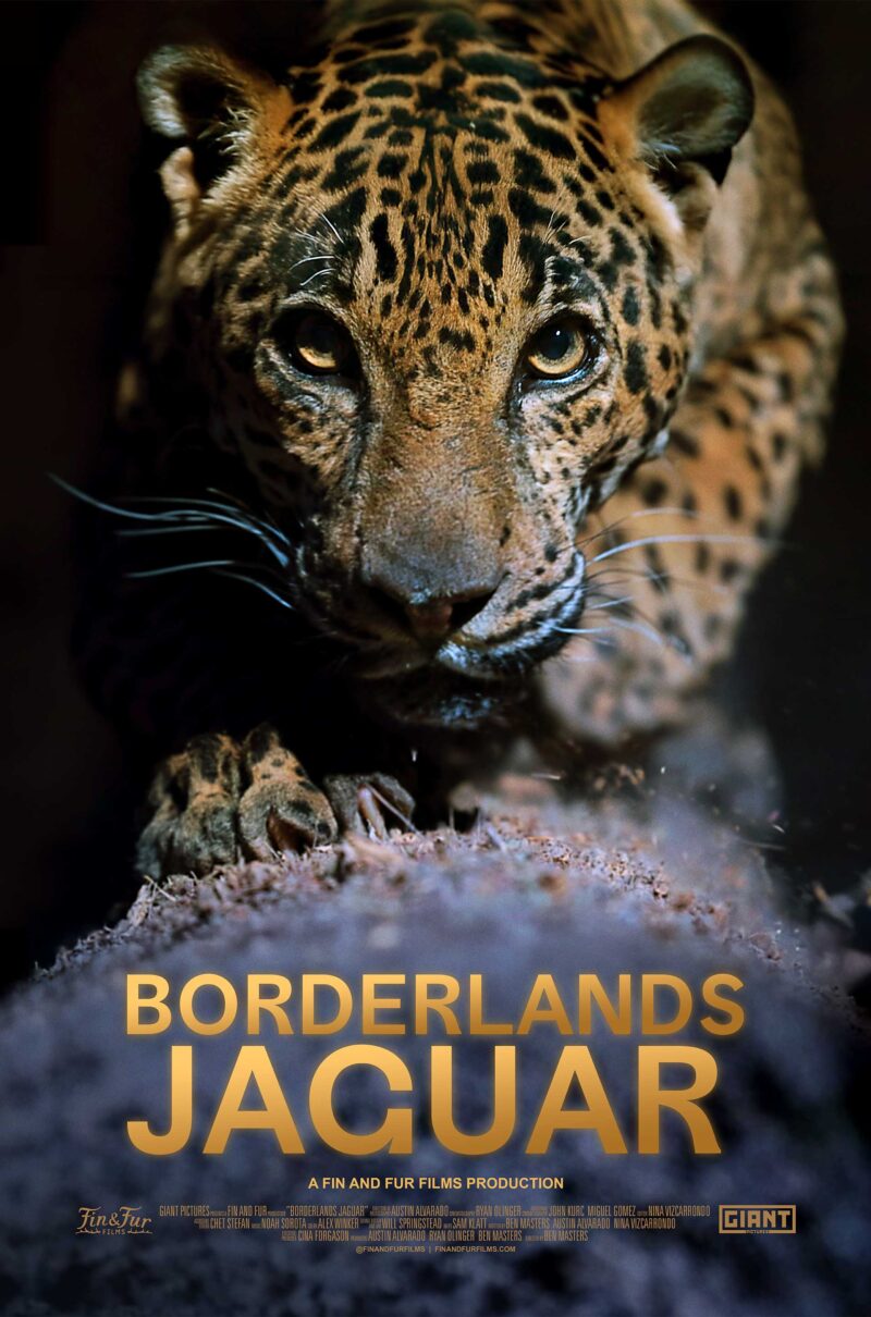 BORDERLANDS JAGUAR with Ben Masters