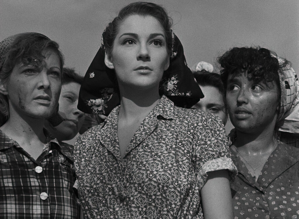 TKD_3149_RisoAmaro_F-137_IT-XX_2MONO_4Kp24_ProRes422_20251008.00