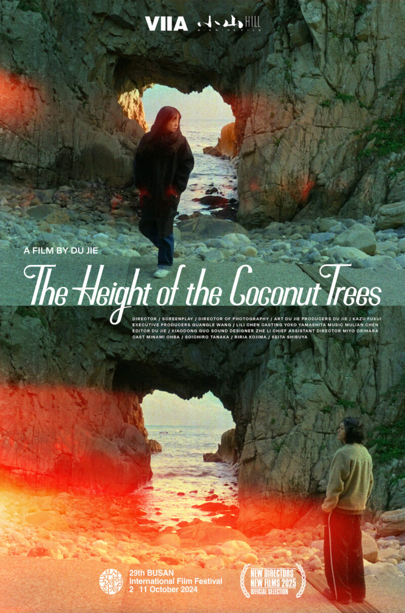 THE HEIGHT OF THE COCONUT TREES