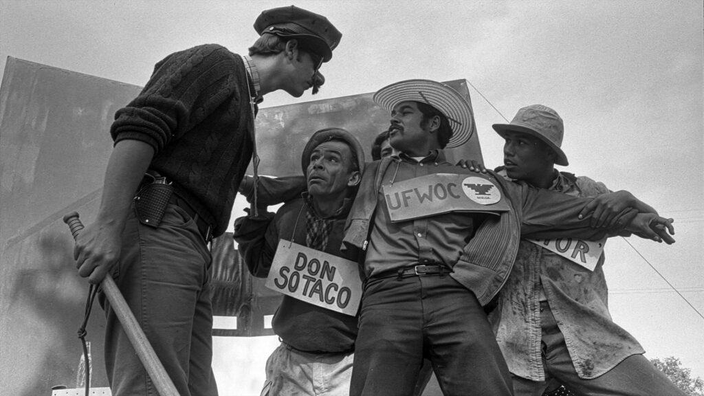 american_pachuco_2
