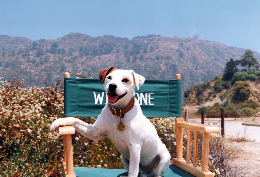 01_Wishbone_Hero_Chair