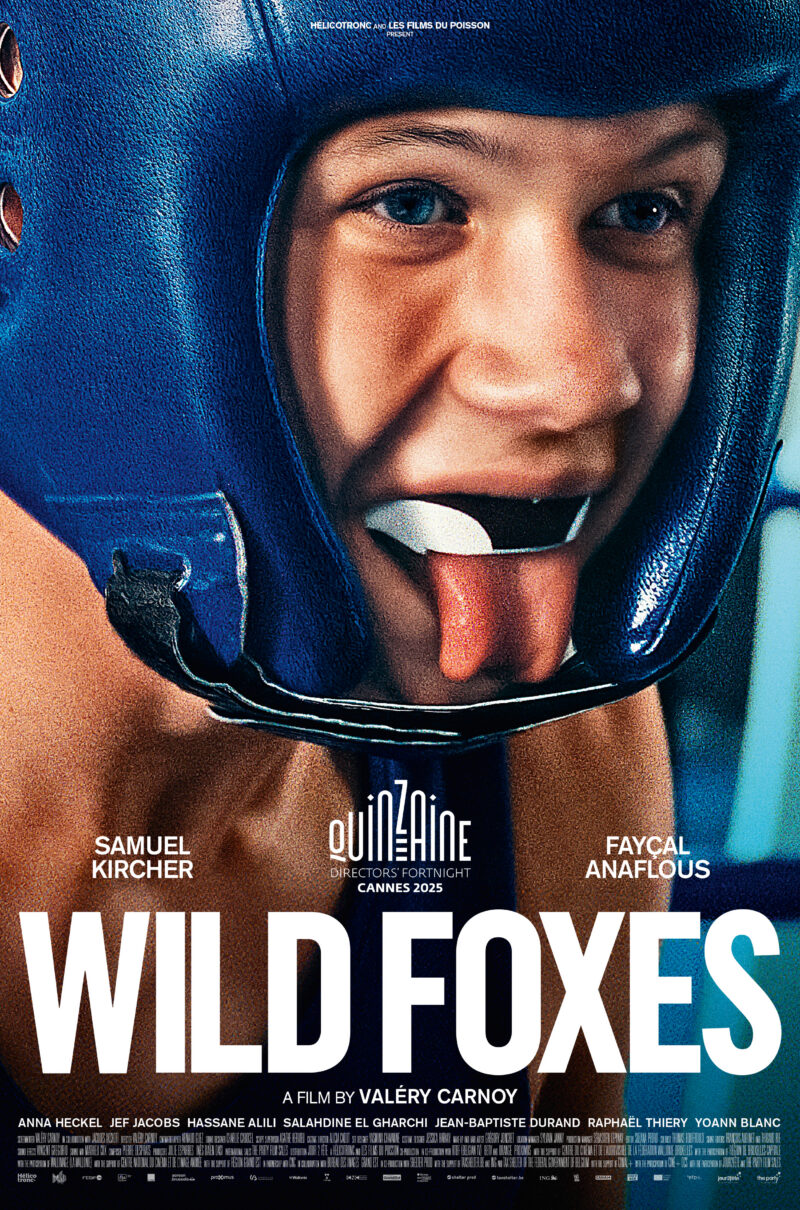 WILD FOXES